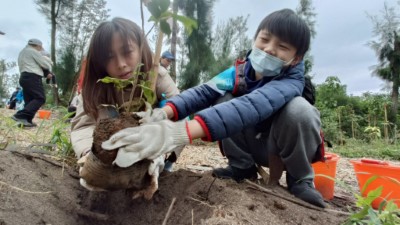 七星潭啟動臨海植群「宮脇法」復育，　營造親人的森林生態。
